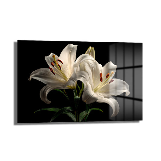 DEKORATİF YATAY CAM TABLO - TT3069