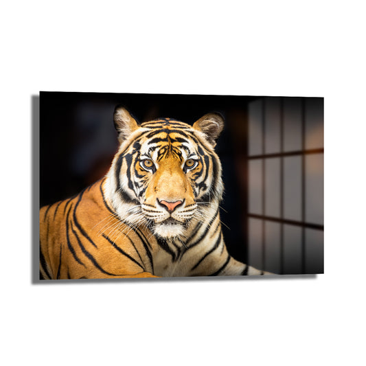 DEKORATİF YATAY CAM TABLO - TT3049