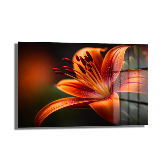 DEKORATİF YATAY CAM TABLO - TT3125