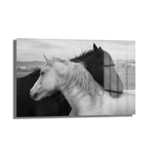 DEKORATİF YATAY CAM TABLO - TT3167