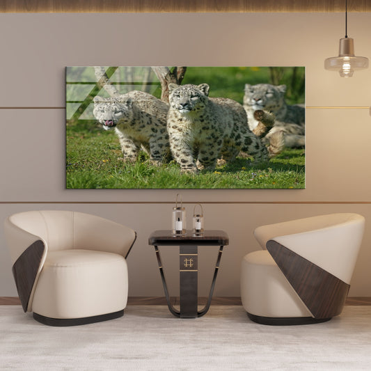 DEKORATİF YATAY CAM TABLO - CF0661
