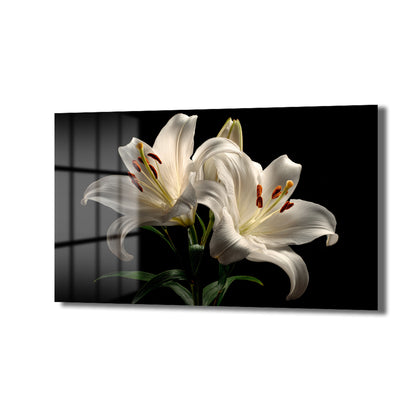 DEKORATİF YATAY CAM TABLO - TT3069