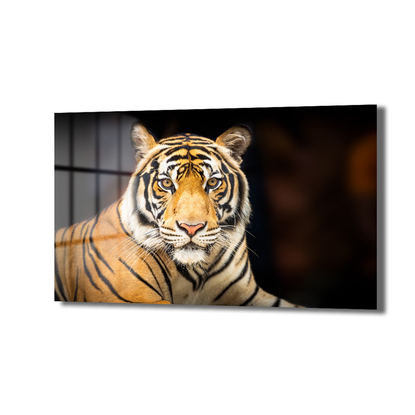 DEKORATİF YATAY CAM TABLO - TT3049